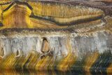 Polished Blue & Orange Tiger's Eye Slab - South Africa #320061-1